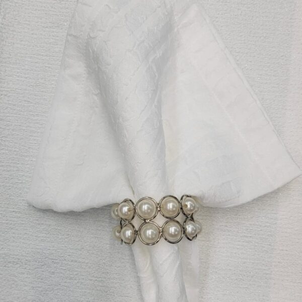 Band Napkin set of 4